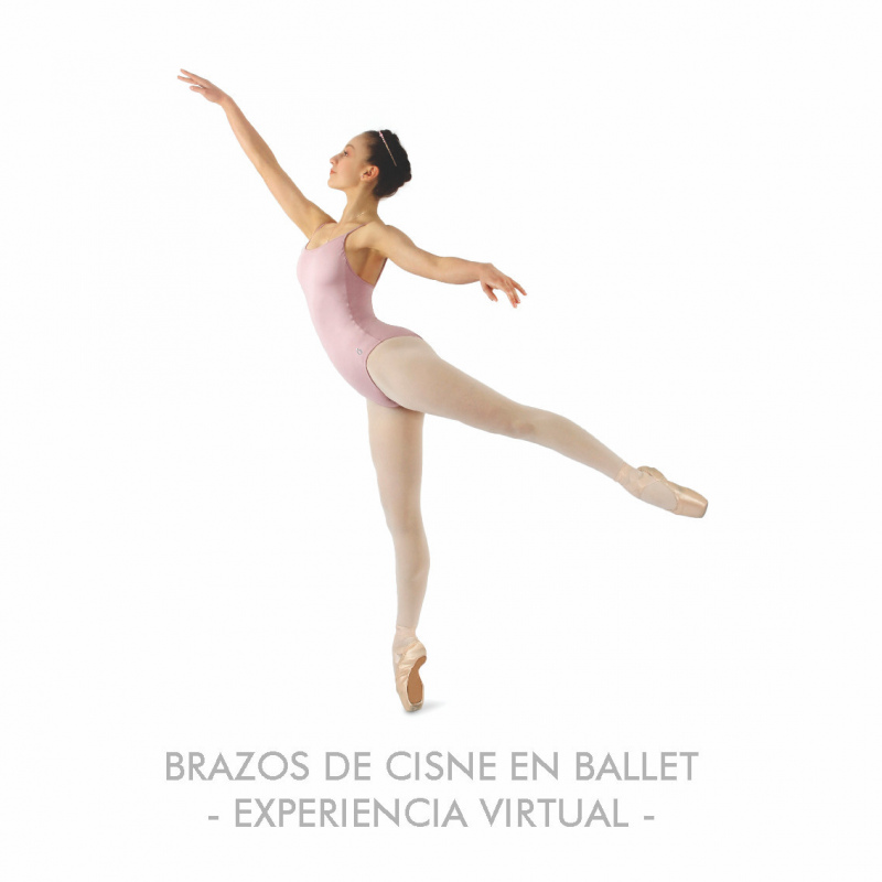 Experiencia Brazos de Cisne en Ballet Virtual