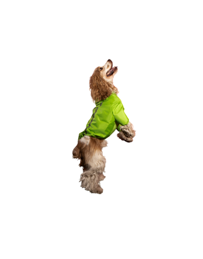 Chaqueta impermeable para perro