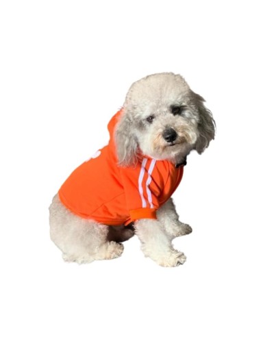 Chaqueta ovejera