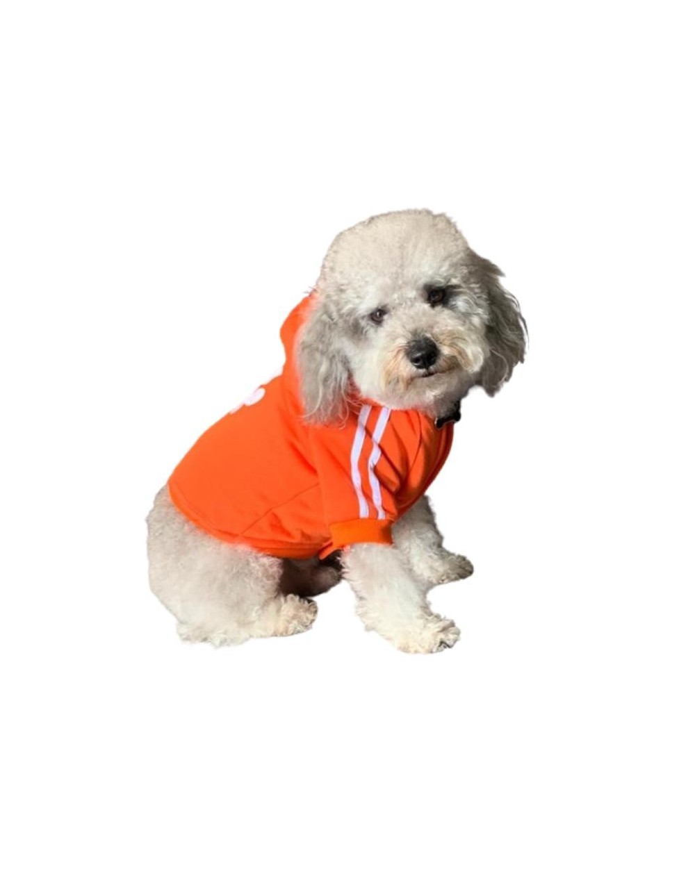 Chaqueta ovejera