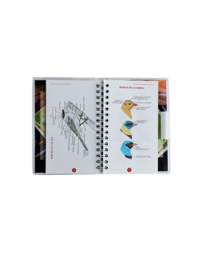 Libreta de campo y guía básica para la observación de aves