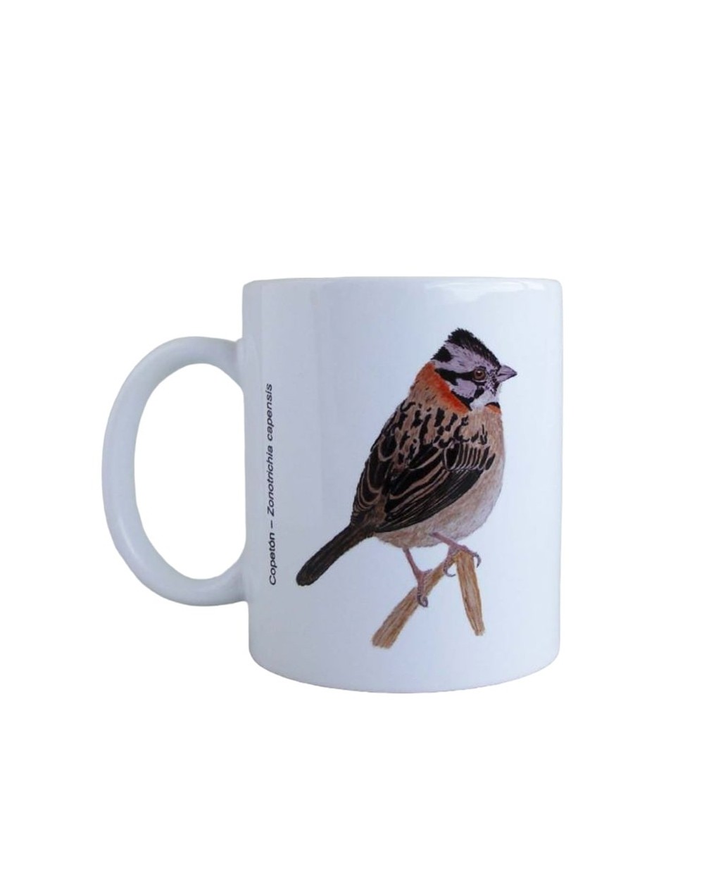 Pocillo de aves