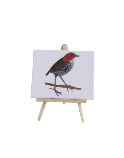 Cuadros de aves con atril en caja de regalo