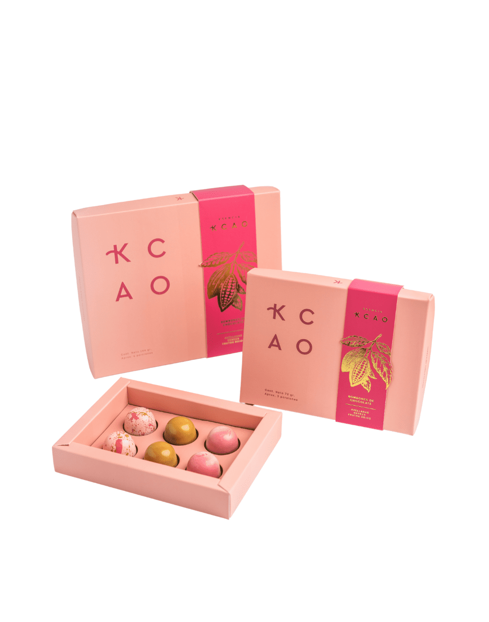 Caja x6 bombones coral mini