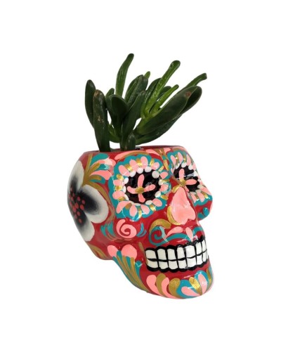 Matera catrina
