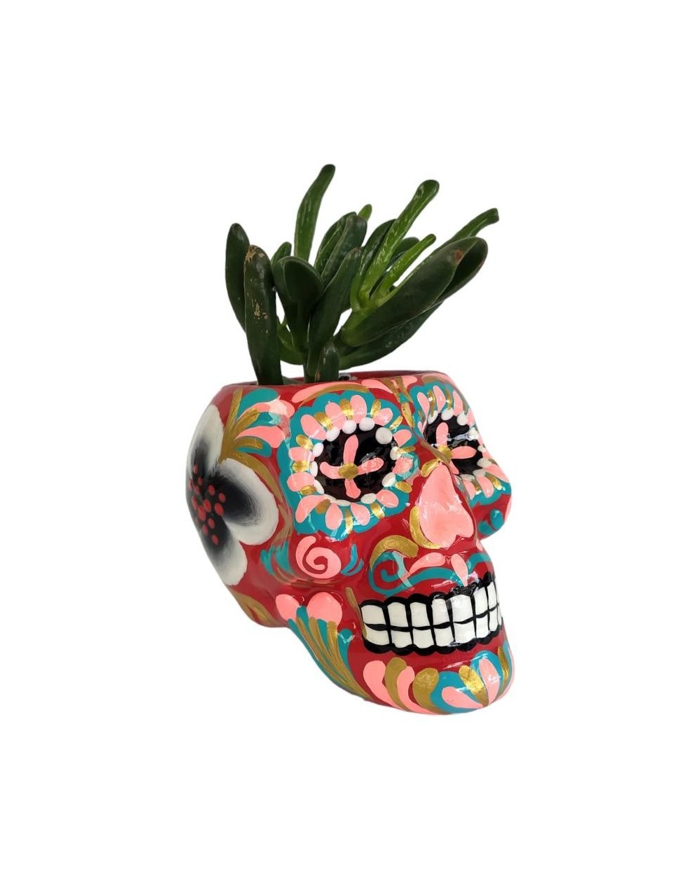Matera catrina