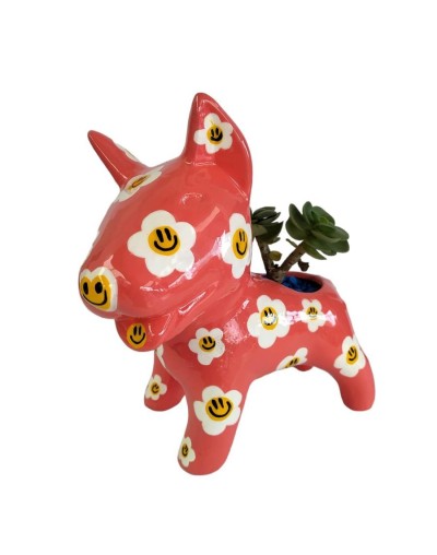 Matera perro