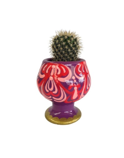 Materita copa