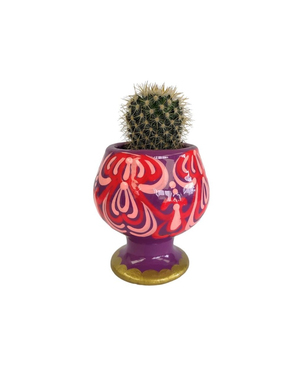 Materita copa