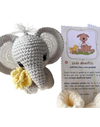 Kit de anuncio de embarazo personalizado: ¡comparte la alegría con tus seres queridos!