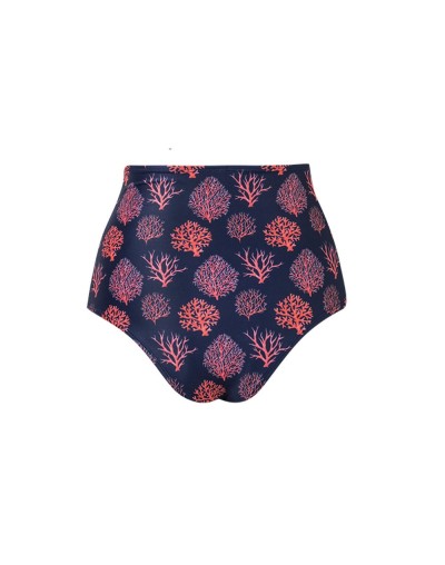 Liguria bottom