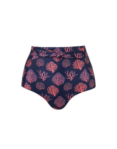 Liguria bottom