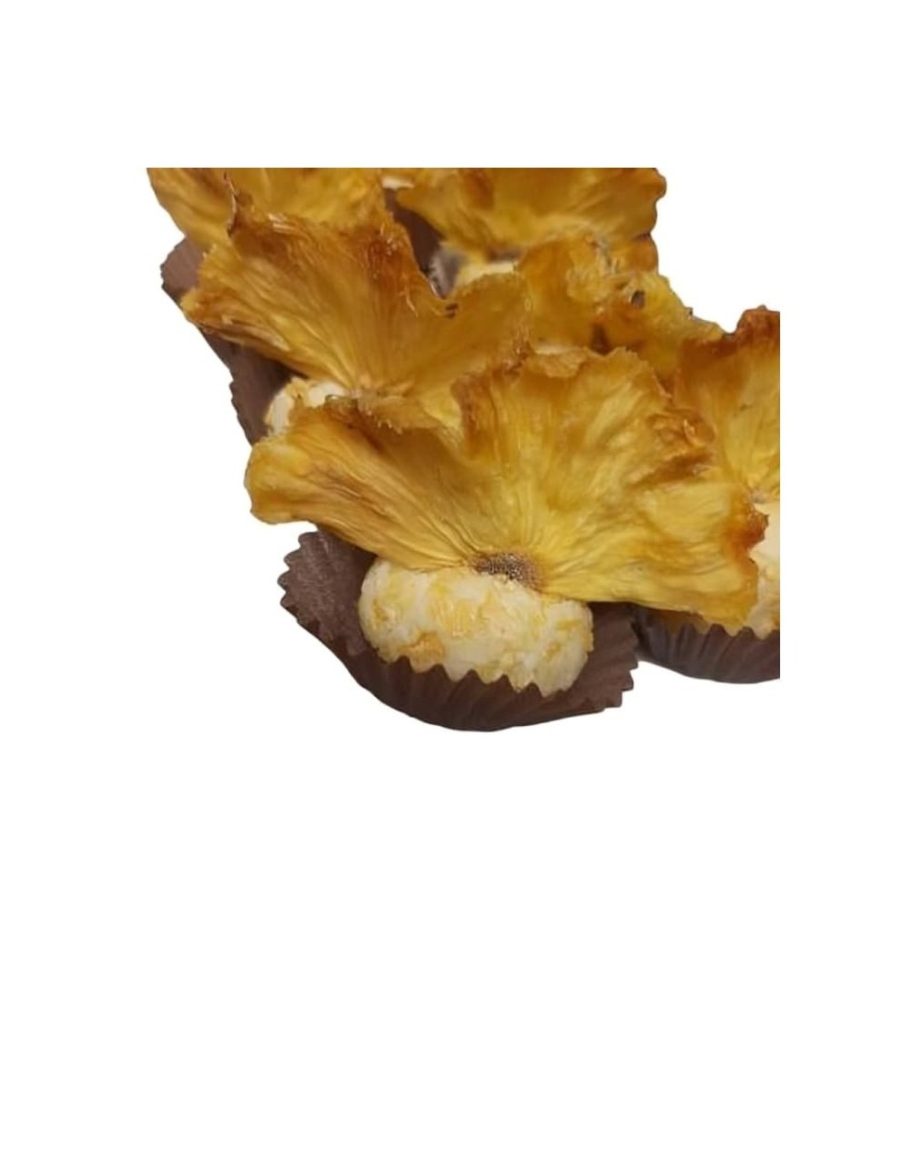 Trufas piña colada caja por 12