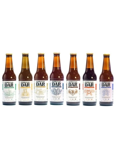 Kombuchas dar x 330 ml 