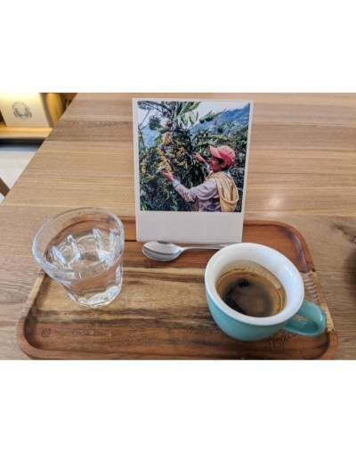 Tour de cafe de especialidad