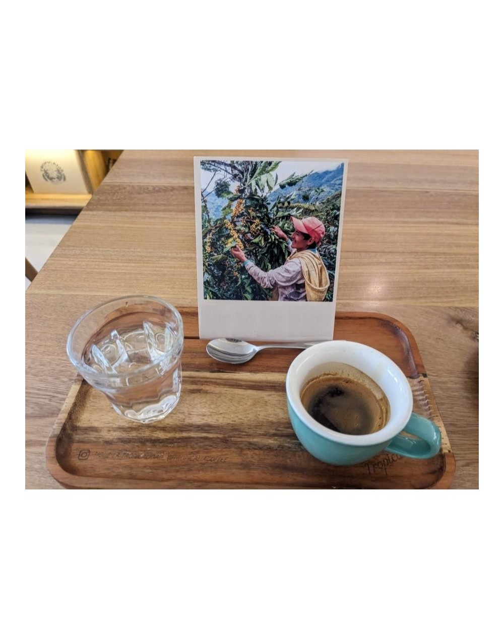 Tour de cafe de especialidad
