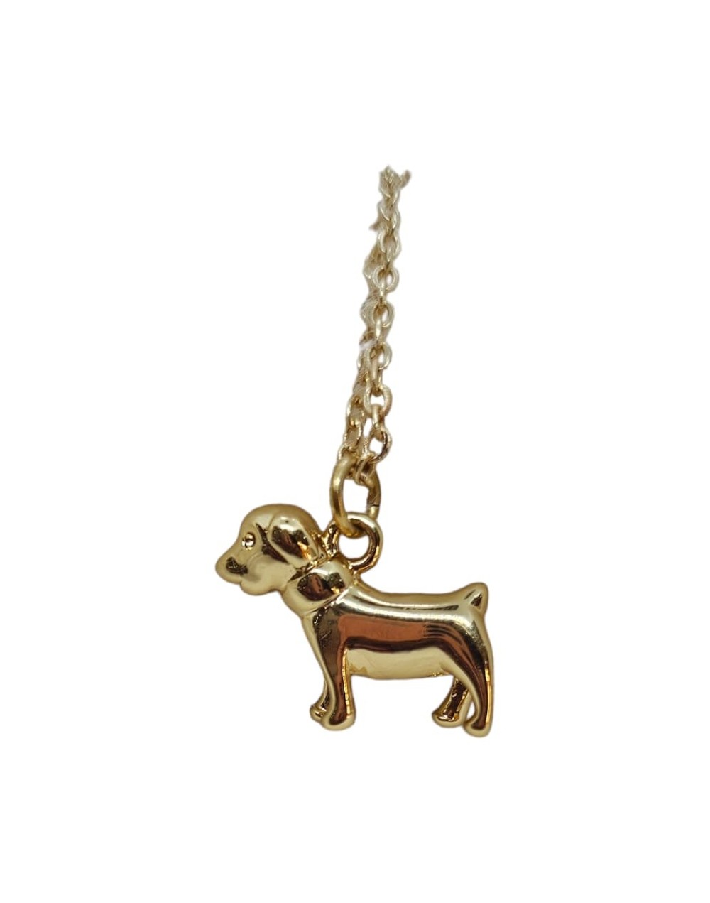 Cadena con dije de perrito