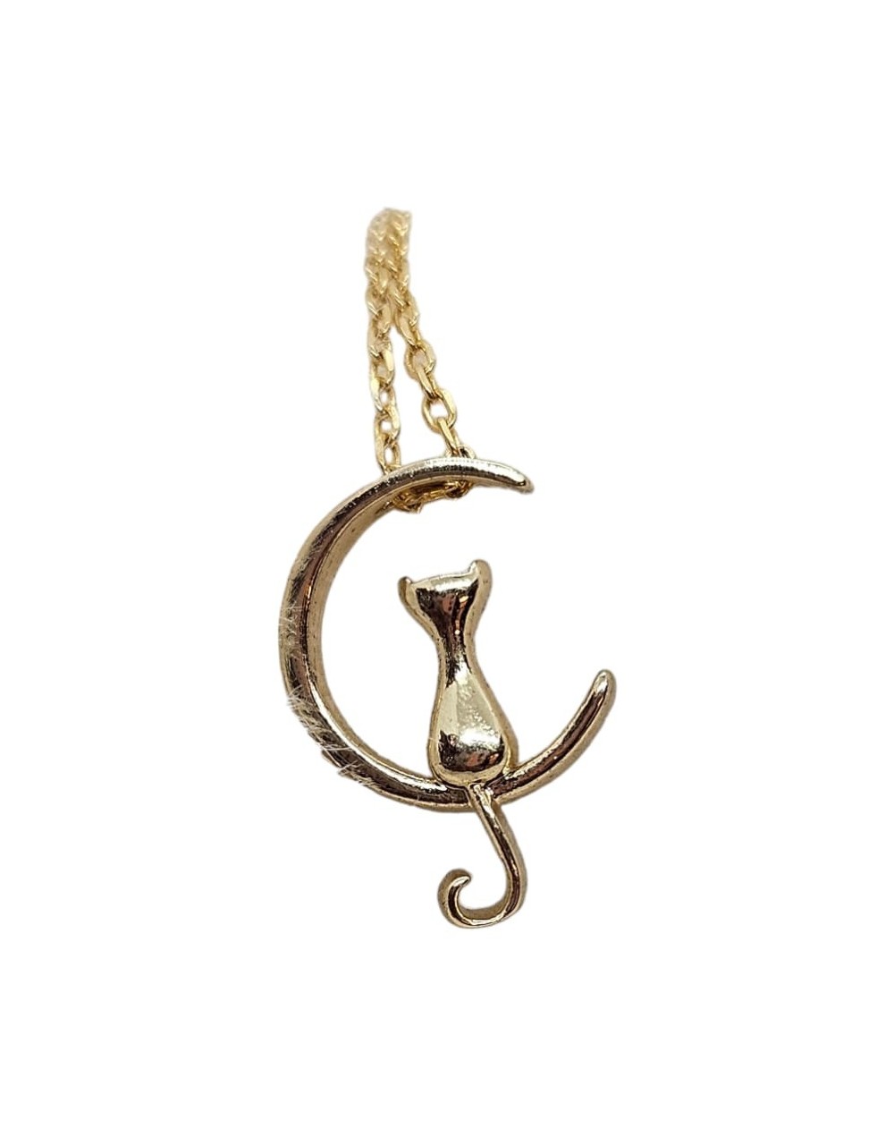 Cadena con gato en luna