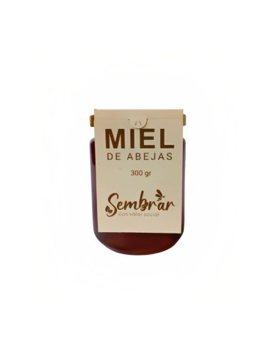 Miel de abejas origen vichada 300 gr