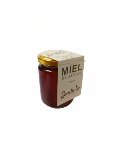 Miel de abejas origen vichada 300 gr