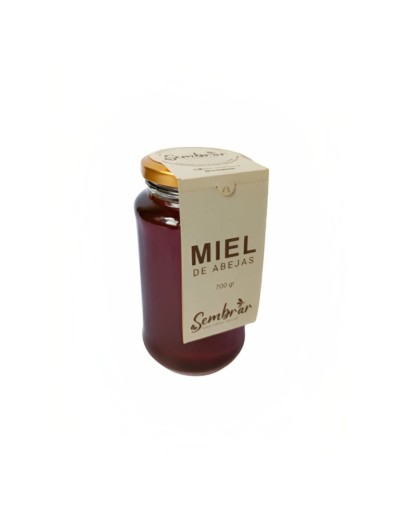 Miel de abejas origen vichada 700 gr