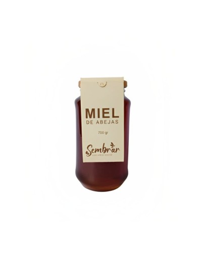Miel de abejas origen vichada 700 gr