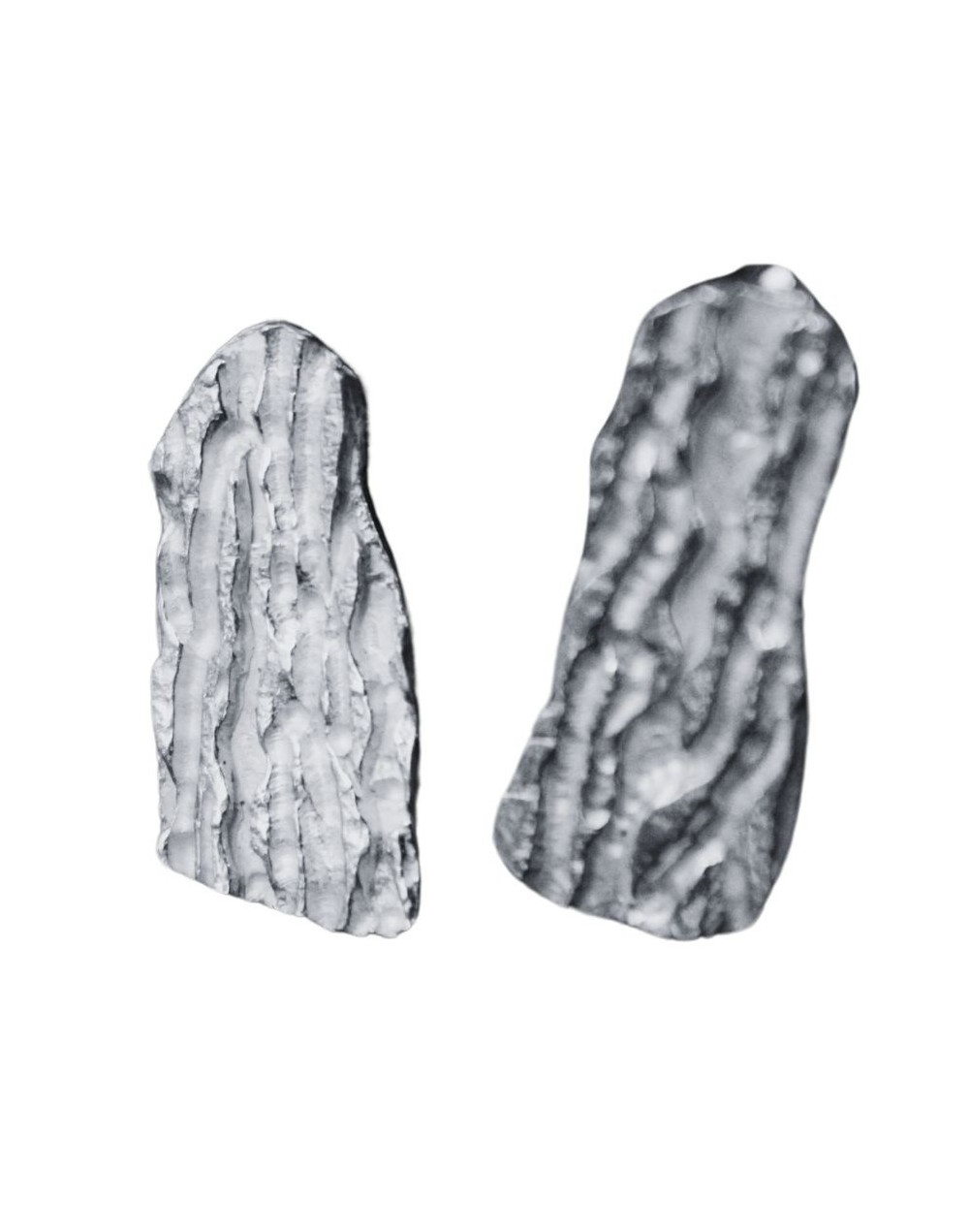 Aretes sueño del bosque - colección huená - joyas con emociones