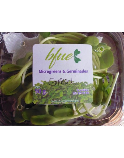 Microgreens Girasol