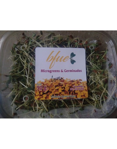 Microgreens Linaza