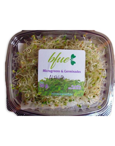 Germinado Alfalfa