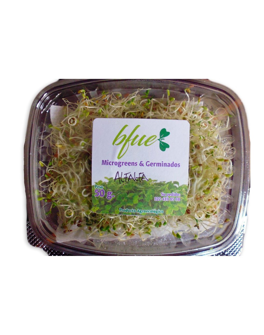 Germinado Alfalfa