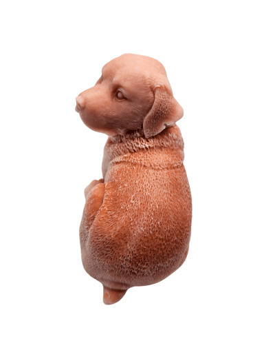 Vela perro labrador