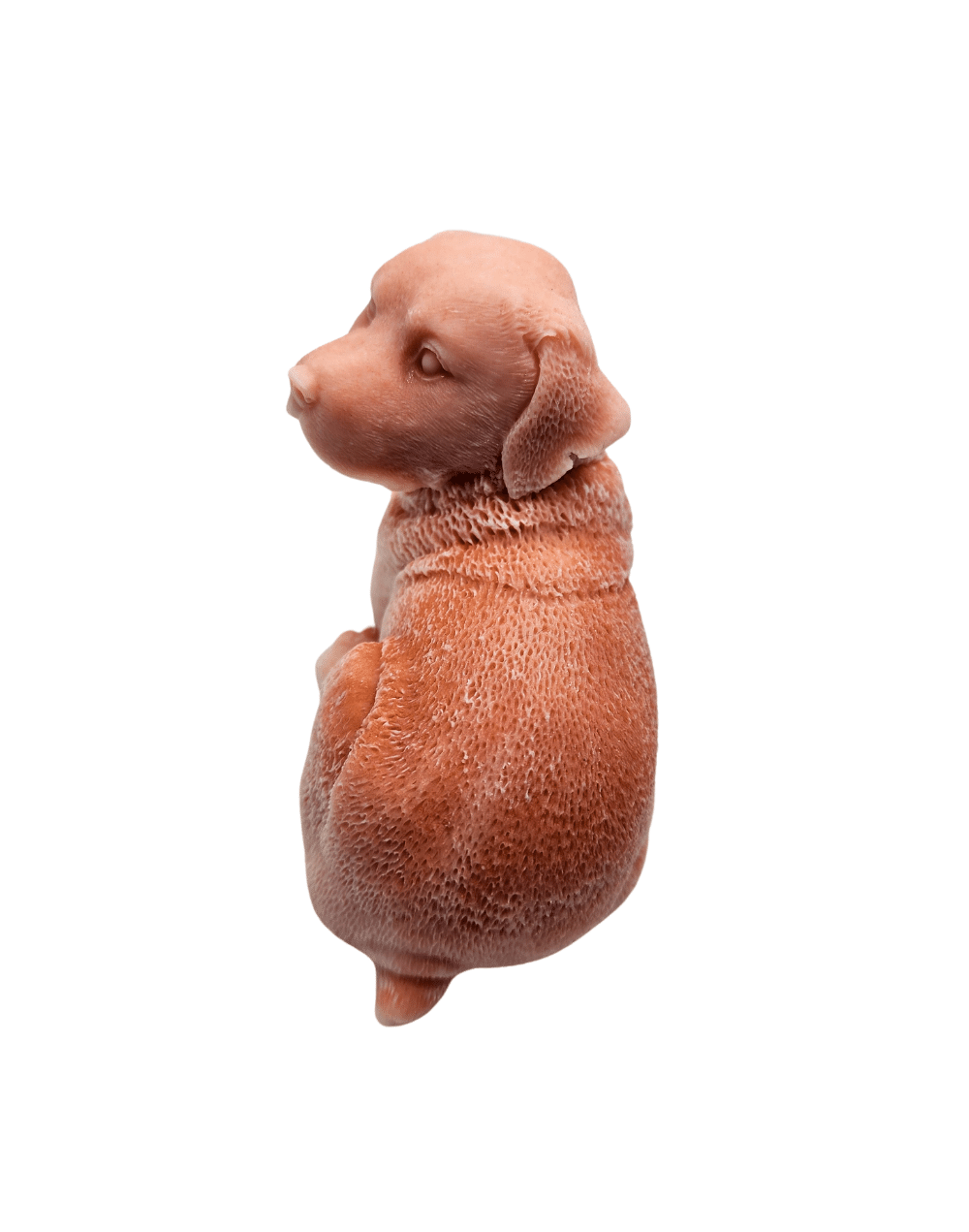 Vela perro labrador