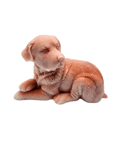 Vela perro labrador