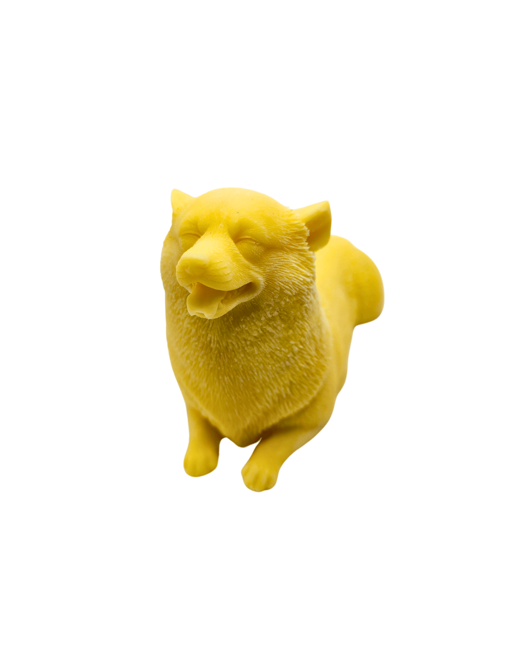 Vela perro lobo