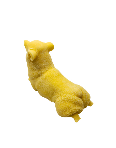Vela perro lobo