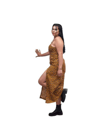Vestido pardus