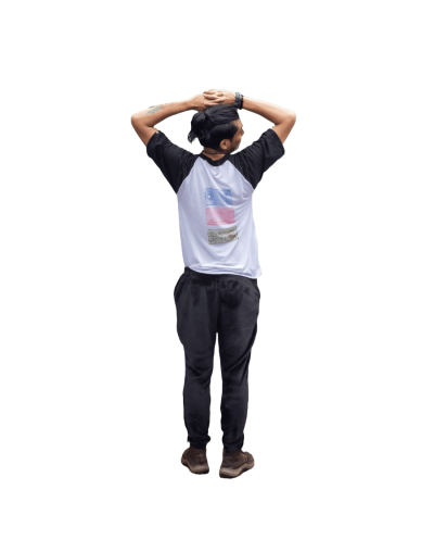 Camiseta tigris