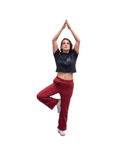 Camiseta pigargo