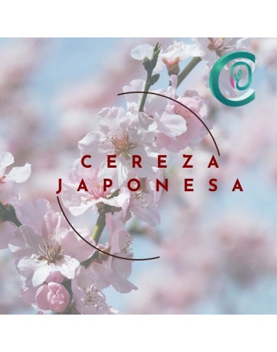 Fragancia para velas 100 ml cereza japonesa