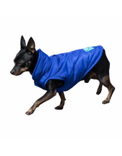 Chalecos para perros pequeños 