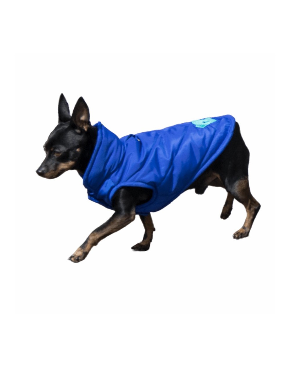 Chalecos para perros pequeños 