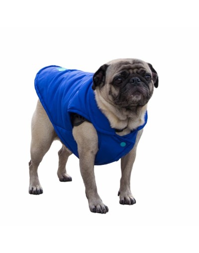 Chalecos para perros pequeños 
