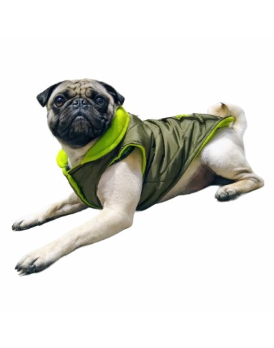 Chalecos para perros medianos 
