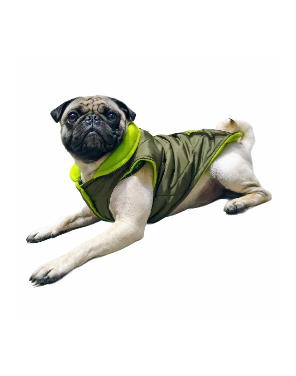 Chalecos para perros medianos 