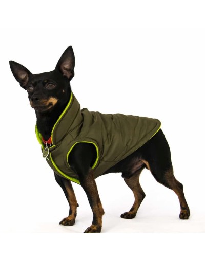 Chalecos para perros medianos 