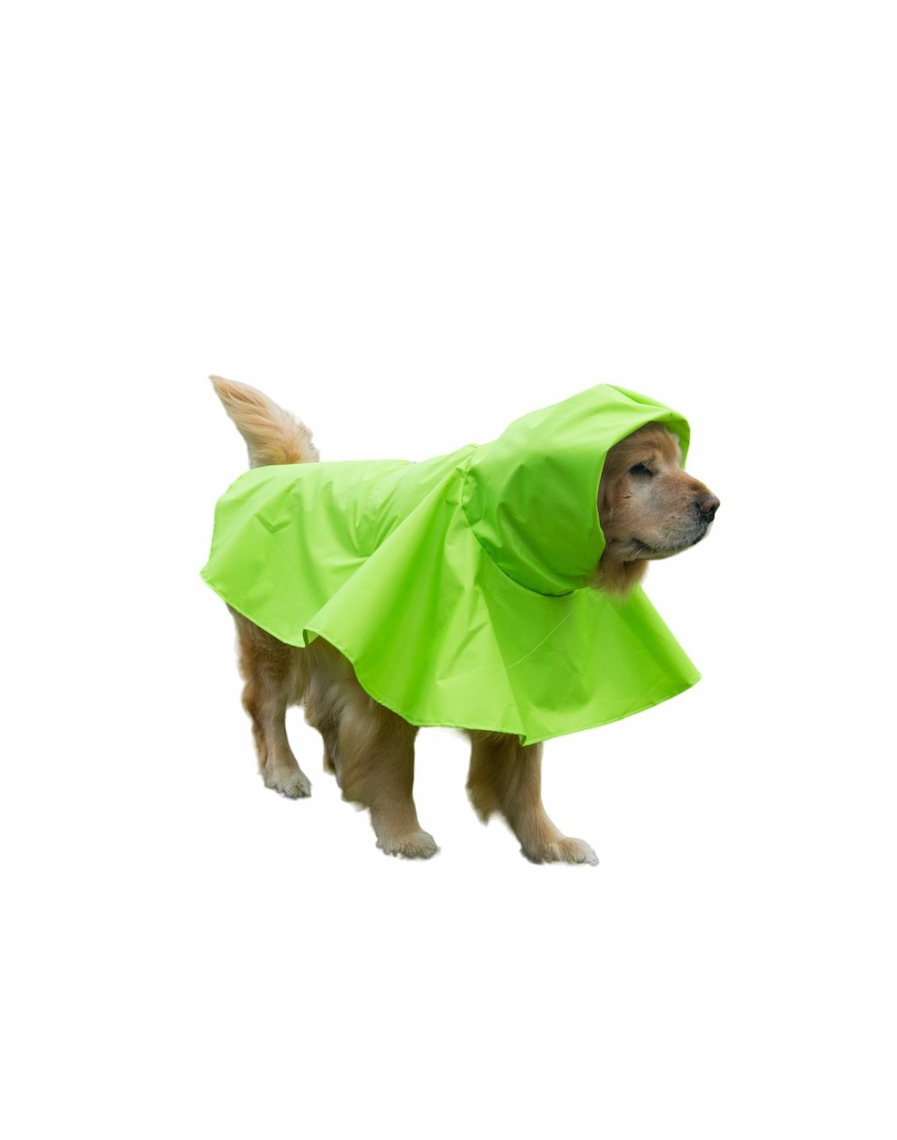 Carpa para perros para lluvia 