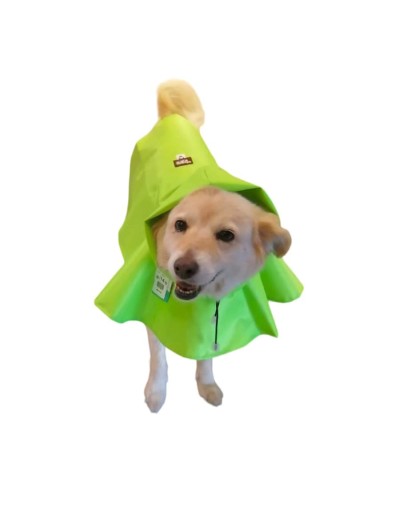Carpa para perros para lluvia 