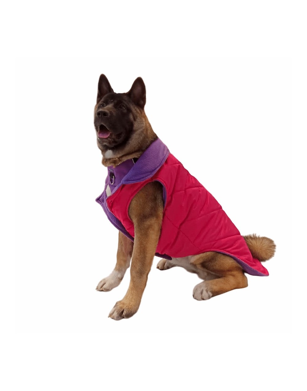 Chaleco para perra fucsia
