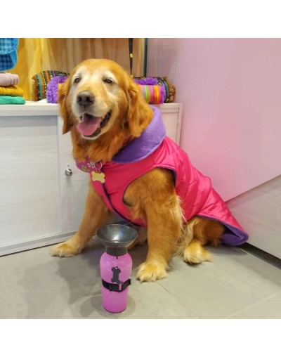 Chaleco para perra fucsia